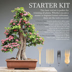 BambooMN Bonsai Tree Pruning Trimming Starter Tool Kit - Leaf Trimmers, and Bamboo Rake - 1 Set