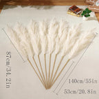 Premium Faux Beige Pampas Grass – 55" 8pcs Tall Ultra-Fluffy 24-Branch One-Piece Stems No Assembly, Luxury Silk-Feel Feather Flowers for Boho Modern Farmhouse Home Decor (Sand, 8 Stems)