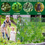 codree Cucumber Trellis for Raised Bed, 63 x 63 Inch U-Shape Garden Trellis for Climbing Plants Outdoor, Metal Arch Trellis with Climbing Net Clips for Growing Vine Vegetable, Tomato, Bean, Zucchini