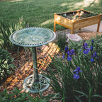 Backyard Expressions Outdoor Garden Bird Bath - Mint Green - Weather Resistant Polyresin - 27 Inch