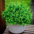 Fake Plants Flowers Outdoor Artificial Shrubs - 16 Bundles UV Resistant No Fade Faux Plastic Greenery Home Garden Porch Patio Decoration Office Indoor (Green)