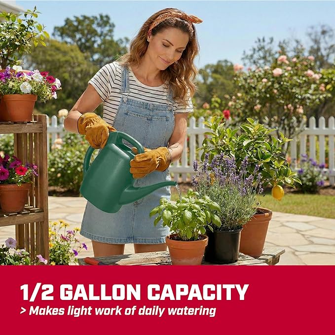 Chapin 48005 Watering Can, Garden, Indoor and Outdoor Plants, Recycled Plastic, Made in USA, Black, 0.5 Gallon, Blue