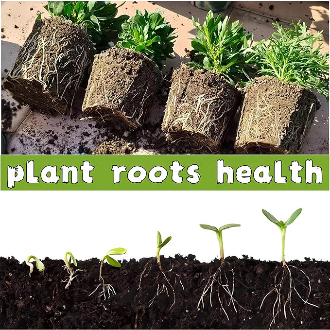 480 Cells Seed Starter Tray 48 Packs Biodegradable Peat Pots Germination Trays Organic Seed Starting Trays kit with 48 Labels 2 Transplant Tools
