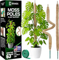 63'' Bendable Moss Pole Monstera Plant Support for Large Climbing Indoor Plants - Stakes for Potted Climbers - Tall Sticks Indoor Trellis for Houseplants - Accessories for Monstera Pot