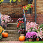 ColoPlay 24 Peach Bundles Artificial Flowers for Outdoors/Indoors Fake Flowers Plants for Indoor Outside Garden Porch Window Box Home Wedding Farmhouse