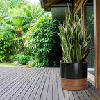 D'vine Dev 14 Inch Ceramic Planter Pot with Drainage Hole and Saucer, Indoor Cylinder Round Planter Pot, Black/Speckled Tan, 94-O-G-7