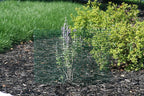6 New Small Wire Plant Protectors, 12" Square, 12" high (Vinyl Coated Rust Resistant Wire)