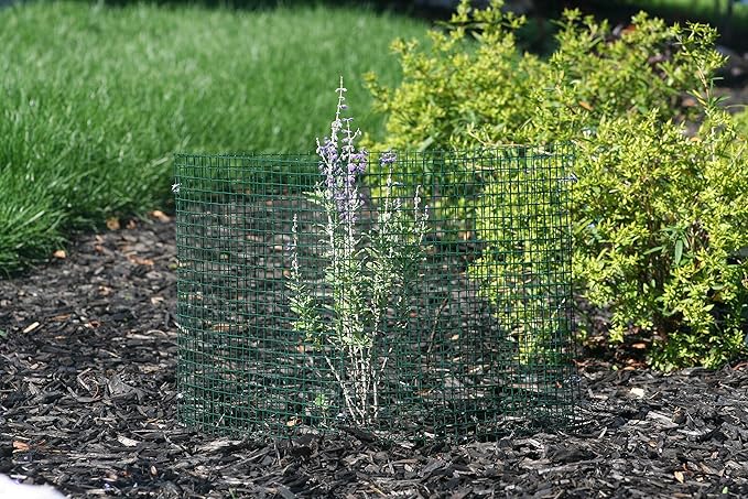 6 New Small Wire Plant Protectors, 12" Square, 12" high (Vinyl Coated Rust Resistant Wire)