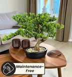Artificial Bonsai Tree 16" Tall with Realistic Wood and Ceramic Pot, Fake Plants for Home, Bedroom and Office Desk, Japanese Decor