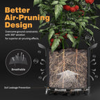 Patigrow Self-Watering Grow Bags, 5-Pack 7 Gallon 420G Thick Nonwoven Fabric Pots with Reinforced Handles and Multi-Purpose Rings, for Low Stress Plant Training Fruits, Vegetables,and Flowers