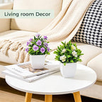 Der Rose 6 Pack Fake Plants Small Artificial Potted Faux Plants with Flowers for Home Bathroom Living Room Office Decor Indoor