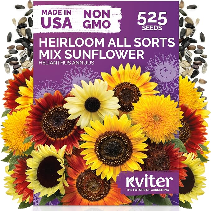 KVITER 525 All Sorts Mix Sunflower Seeds (Helianthus Annuus) – Colorful Common Sunflower Mix, Flower Seed Packets - Annual Flower Seeds for Outdoor Garden & Borders, Ideal for Fresh Cut Flowers