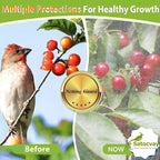 Fruit Tree Netting - Easy Install Plant Protection Cover, Reusable Garden Mesh Bag for Blueberry Bushes/Tomato - Block Birds/Insect/Squirrels (3, 10x10 FT)