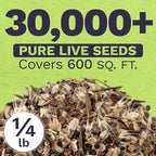 Cut Flower Garden Seeds - Bulk 1/4 Pound Bag - Over 30,000 Fresh Open Pollinated Non-GMO Wildflower Seeds - Long Lasting Annuals and Perennials with Bright Colors