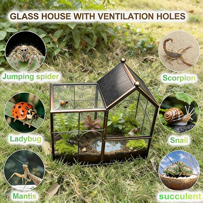 Ready-to-Use Glass Terrarium with Vents, 8.66"x4.72"x8.46" House-Shaped Habitat for Jumping Spider,Praying Mantis,Snails,or Succulent Plants - Home Garden Tabletop Decor Enclosure (Dark Gunmetal)