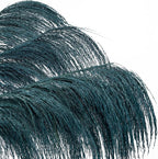 Pampas Grass Decor Tall,Long Pampas, Large Pompas Floral, Elegant Feather Flowers for Wedding Decorations, Living Room Decor (Natural Teal, 8pcs 31.5"(80cm))