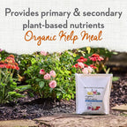 Whitney Farms Organic Kelp Meal 0.7-0.1-2 - Seaweed Fertilizer for Plants, Soil Conditioner for Vegetables, Flowers, Roses and Shrubs, 2 lb.