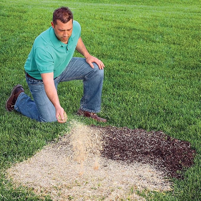 EZ Straw Seeding Mulch with Tack - Biodegradable Processed Straw, 1 cu. ft. Bale (Covers 250 sq. ft.)