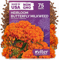 KVITER 75 Orange Butterfly Milkweed Seeds (Asclepias Tuberosa) - Orange Milkweed, Blazing Wildflower, Butterfly Favorite - Perennial Flower Seeds in Seed Packets for Outdoor Garden and Roadsides