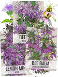 Seed Needs Bee Balm Seeds for Planting a Collection of Monarda Flowers - Heirloom & Open Pollinated Flower Seed to Plant an Outdoor Butterfly Garden (Includes Wild Bergamot, Horsemint & Lemon Mint)