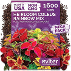 KVITER 1600 Rainbow Coleus Seeds for Planting Mix (Plectranthus scutellarioides) – Coleus Garden Seed Packets – Non-GMO & Heirloom Flower Seeds for Outdoor & Indoor Garden, Containers, Borders, Patios