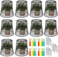 SOUJOY 10 Pcs Chicken Wire Plant Covers, 8 x 8 Inches Metal Garden Cloche with 30 Garden Stakes and 20 Waterproof Labels, Plant Protectors from Animals for Keeping Bunnies Chicken Squirrels Birds Out