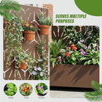 Casaphoria Metal Raised Garden Bed with Trellis and Wheels, 72"x35"x16" Planter Box for Climbing Plants, Vegetables & Vines, Features Drainage Holes and Privacy Screen, Brown-Star