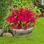 Artificial Flowers for Outdoors 12 Bundles Artificial Petunias Fake Flowers UV Resistant Shrubs Plants with Fern for Indoor Outside Hanging Planters Home Garden Summer Decorations(Rose Red)