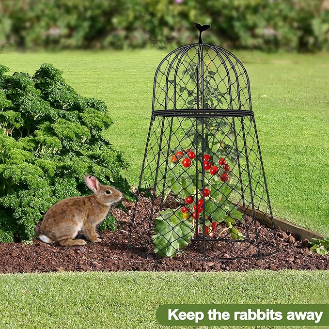 6 Packs Garden Cloches for Plants, Plant Protectors from Animals, Chicken Wire Cloche, Plant Cloche and Cage, Protection for Your Plants and Seedlings, 13" D x 20" H - Black