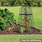 6 Packs Garden Cloches for Plants, Plant Protectors from Animals, Chicken Wire Cloche, Plant Cloche and Cage, Protection for Your Plants and Seedlings, 13" D x 20" H - Black