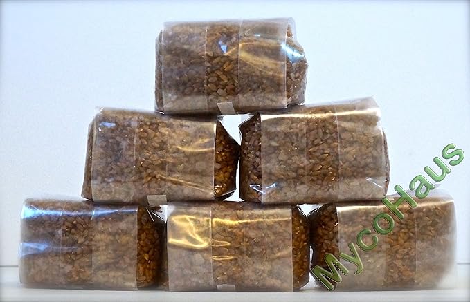 MycoHaus Mushroom Growing Kit | Sterilized Rye Grain | Magic Indoor Grow Bags for Mushrooms | Shroom Home Cultivation Magic Supplies | Without Spores | Without Injection Ports | 1 Pound (6 Pack)