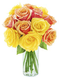 KaBloom - Sweet Honey Orange and Yellow Roses (Dozen) - With Vase- Fresh Flowers for Birthday, Valentine's & Mother's Day