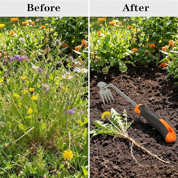 Weed Puller Tool with Thick Work Gloves, 4-Teeth Stainless Steel Hand Weeder, Deep Root Weed Remover for Dandelions Crabgrass, Gardening Weeding Tools for Garden Backyard Farm 13.7inch