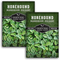 Survival Garden Seeds - Horehound Seeds for Planting - 2 Packets with Instructions to Plant and Grow Beneficial Marrubium Medicinal Herbs in Your Home Vegetable Garden - Non-GMO Heirloom Variety