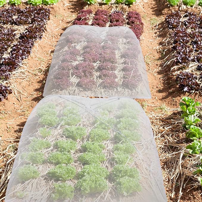 Tanlade 8 Pcs Mesh Plant Cover Protection Tent from Animals Reusable Dome Protect Tent Collapsible Plant Umbrella Netting Food Cover Net for Plants Food Vegetable(17 Inch,White)