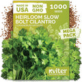 KVITER 1000 Slow Bolt Cilantro Seeds (Coriandrum sativum) - Cilantro Organic Seed, Slow to Bolt Coriander Seed, Aromatic Leaves - Herb Seeds for Planting in Outdoor & Indoor Garden