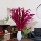 Hot Pink Pampas Grass for Vase Decor, 8pcs Natural Pampas Grass, Dried Pompas Floral, Elegant Feather Flowers for Wedding Decorations, Living Room Decor (Natural Purple Red, 8pcs 31.5"(80cm))