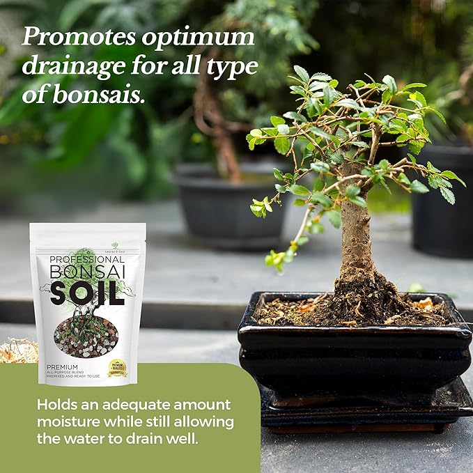 Professional Bonsai Soil Mix Ready to Use Extra Large 8.2 Quarts, Premium Potting Soil for Bonsai Trees, Fast Draining Blend Lava Limestone Pearock Calcined Clay Pinebark Indoor Outdoor Made in USA