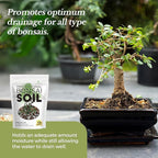 Professional Bonsai Soil Mix Ready to Use | Large 2.2 Quarts, Premium Potting Soil for Bonsai Trees, Fast Draining Blend Lava Limestone Pearock Calcined Clay Pinebark Indoor Outdoor | Made in USA
