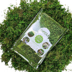 USMOLA Artificial Moss 16oz – Fake Moss for Crafts, Fairy Gardens, Wedding & Party Decor, Centerpieces & Potted Plants (Fresh Green, 455g)