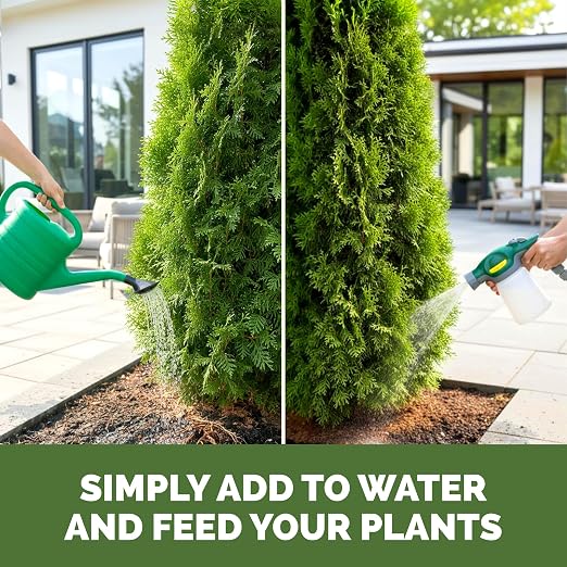 Arborvitae Tree Fertilizer – Liquid Plant Food for Fuller Green Foliage, Faster Growth & Stronger Root Development, 8 oz