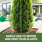Arborvitae Tree Fertilizer – Liquid Plant Food for Fuller Green Foliage, Faster Growth & Stronger Root Development, 8 oz