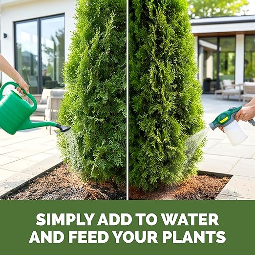 Arborvitae Tree Fertilizer – Liquid Plant Food for Fuller Green Foliage, Faster Growth & Stronger Root Development, 1 Gallon