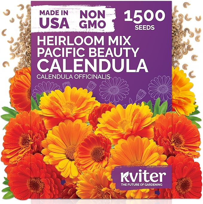 KVITER 150 Mix Pacific Beauty Calendula Seeds (Calendula Officinalis) - Pot Marigold, Heirloom and Non GMO - Annual Flower Seeds in Seed Packets for Outdoor and Indoor Garden, Containers, Cut Flowers