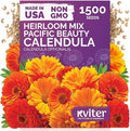 KVITER 150 Mix Pacific Beauty Calendula Seeds (Calendula Officinalis) - Pot Marigold, Heirloom and Non GMO - Annual Flower Seeds in Seed Packets for Outdoor and Indoor Garden, Containers, Cut Flowers