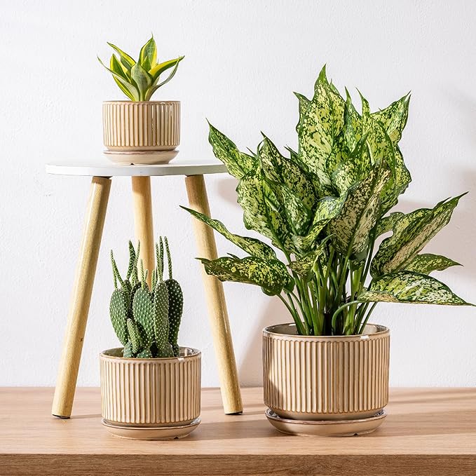 Beige Ceramic Planter Set of 3, 4.3+5.5+6.7 Inch Indoor Plant Pots with Drainage Hole, Saucer & Mesh Pads, Ceramic Striped Decorative Plant Pots for Garden Pots, Outdoor and Indoors Planters