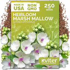 KVITER 250 Marsh Mallow Seeds for Planting (Althaea officinalis) – White Mallow Medicinal Seed Packets, Grow Heirloom Marshmallow Root Herb – Perennial Write Flower Garden Seeds Indoor & Outdoor