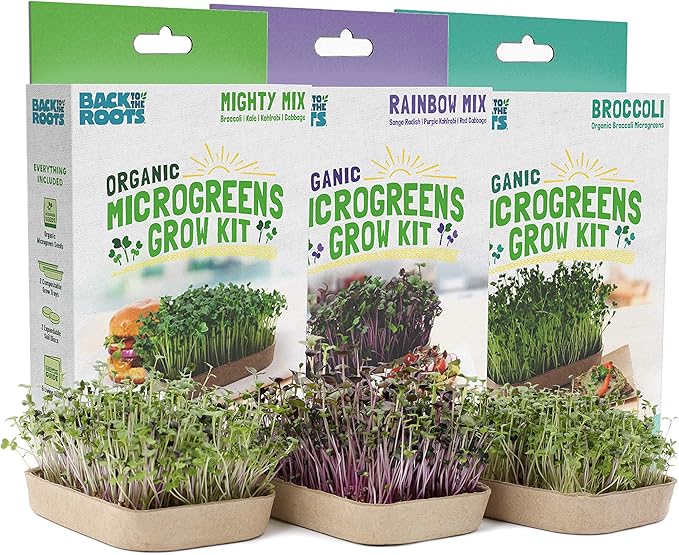 Back to the Roots DIY Microgreen Grow Kit, 6-Grow Variety Pack & Easy to Grow Houseplants (6 Pack), Live House Plants in Plant Containers, Growers Choice Plant Set in Planters