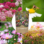 Cut Flower Garden Seeds - Bulk 1/4 Pound Bag - Over 30,000 Fresh Open Pollinated Non-GMO Wildflower Seeds - Long Lasting Annuals and Perennials with Bright Colors