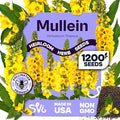 SVI 1200 Mullein Seeds for Planting (Verbascum thapsus) - Great Mullein, Heirloom Non GMO Herbs, 4-6 ft Spikes - Medicinal Herb Seeds for Flower and Herb Garden